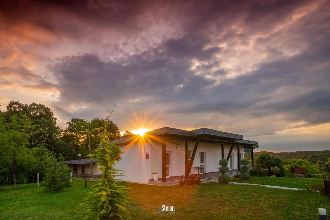 Kuce Za Odmor -Japin Breg Villa Thurdevac Exterior photo